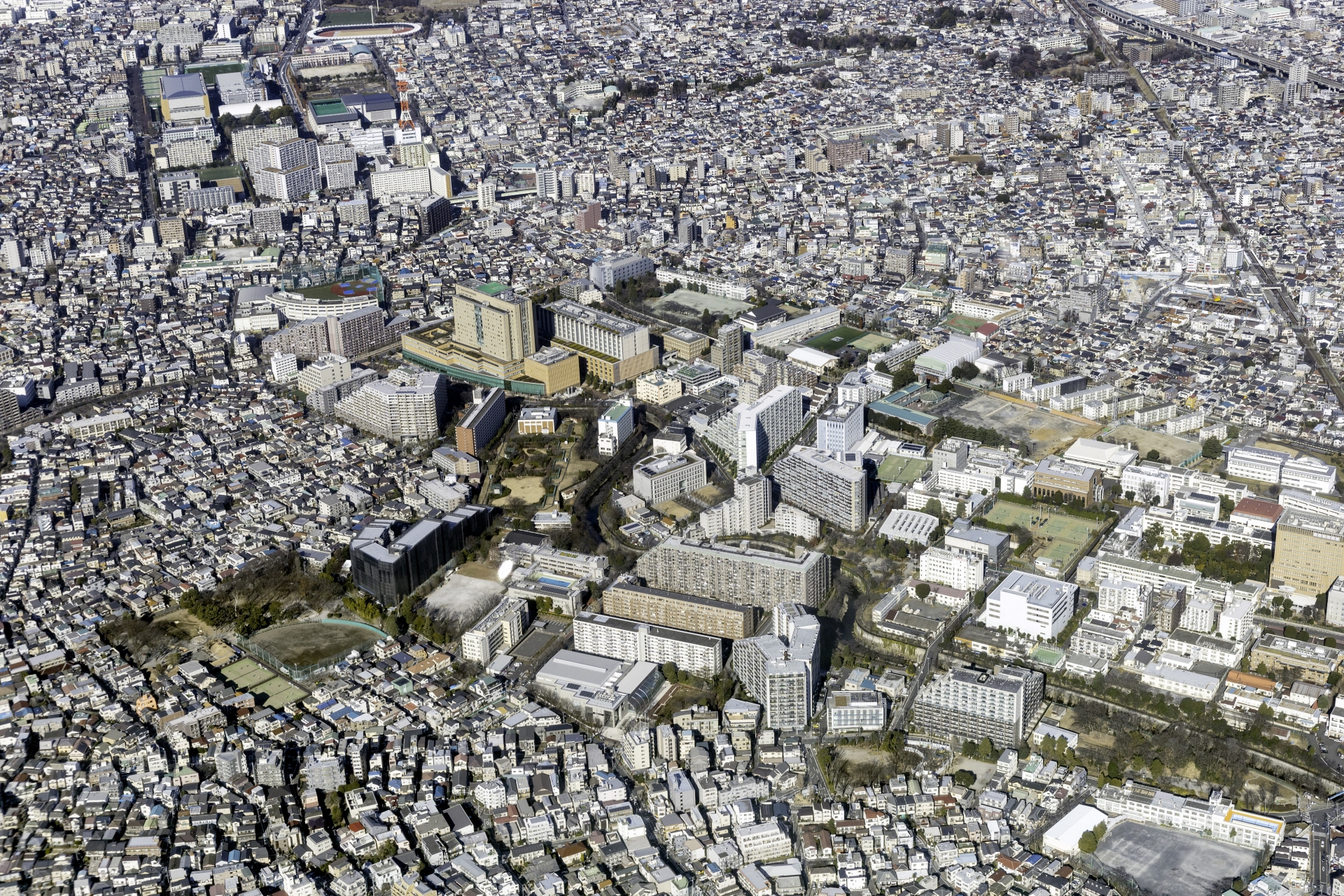 板橋区って住みやすい？賃貸不動産の価格、特徴について解説