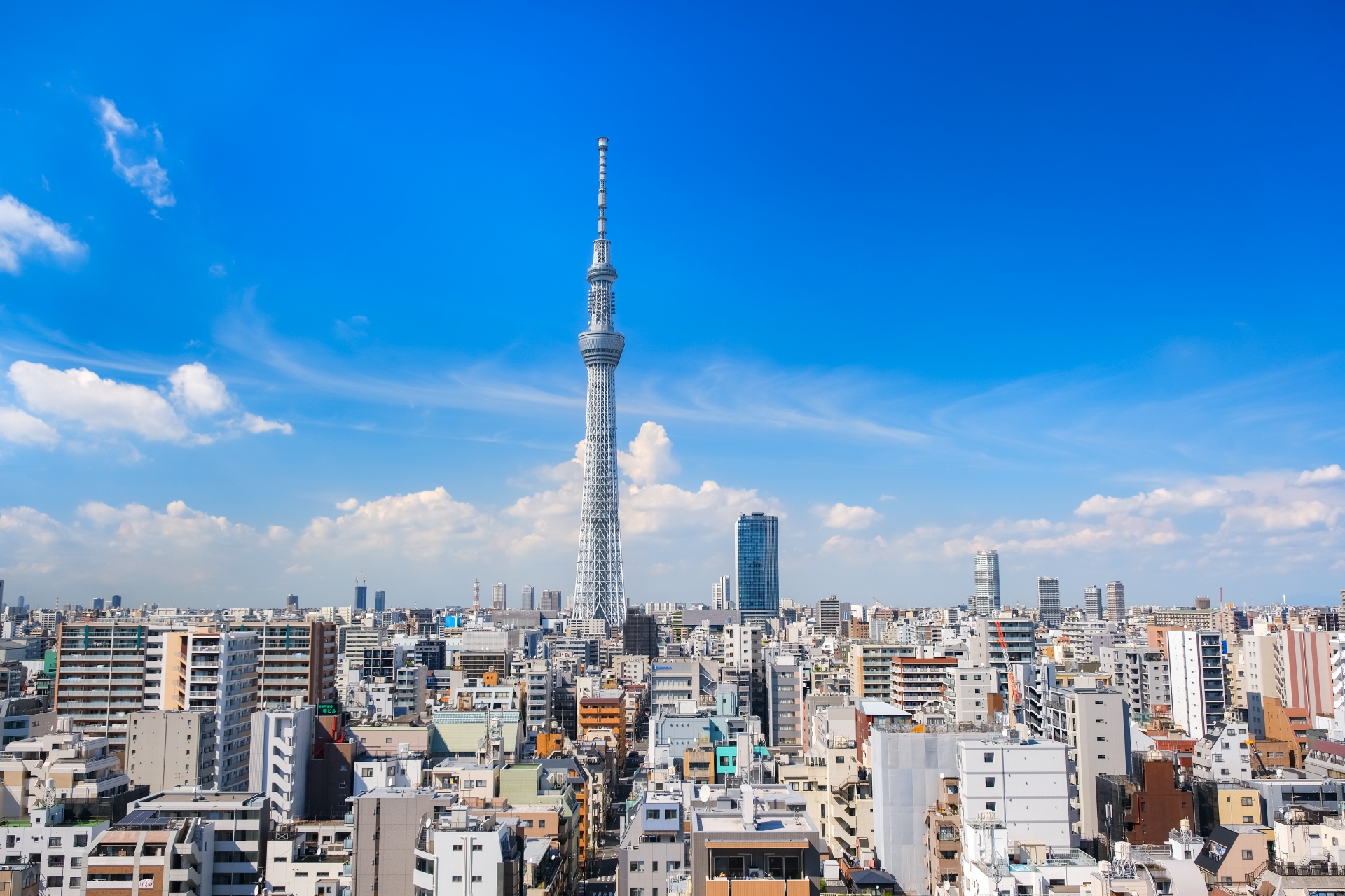 墨田区はおすすめできる？賃貸不動産の価格、特徴について解説